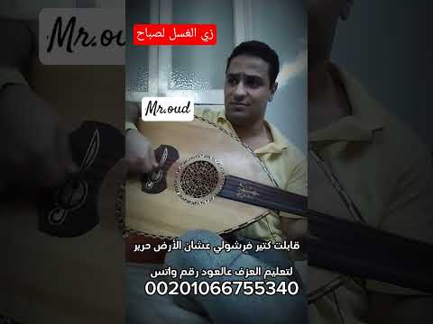 زي العسل لصباح قابلت كتير فرشولي عشان الأرض حرير عزف عود طارق كمال  