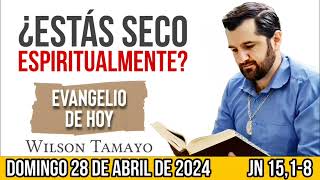 Evangelio de hoy DOMINGO 28 de ABRIL (Jn 15,18) | Wilson Tamayo | Tres Mensajes