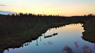 Exploring Maine Wilderness with my Dog| Catch and Cook Native Brook Trout/Blueberry Crisp