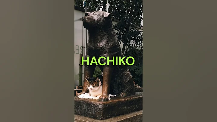 The Dog Who Waited 9 Years – Hachiko's Statue in Tokyo