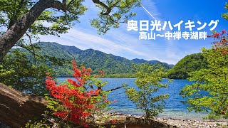 【登山】4K 奥日光ハイキング　高山〜中禅寺湖畔周回コース