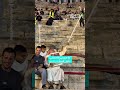 تفاعل طريف ومميز من مشجع مسن لدعم النشامى 🇯🇴❤️