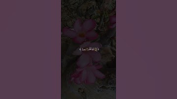 إِن تَعُدُّوا نِعْمَةَ اللَّهِ لَا تُحْصُوهَا ۗ إِنَّ اللَّهَ لَغَفُورٌ رَّحِيمٌ (18) سوره النحل