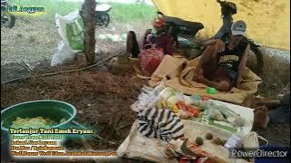 Kepalang Tani Emek Aryanto Clip Kuli Tani Alas Loyang Ibu Mar Bpk Rasmun