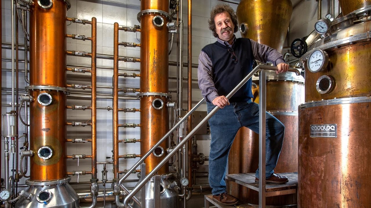 VISITA GUIDATA IN DISTILLERIA