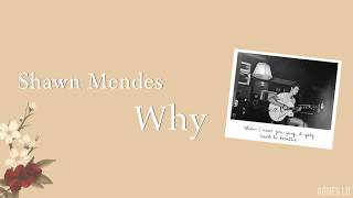 不只是好朋友：Why 為什麼- Shawn Mendes 尚恩曼德斯Lyrics ...