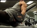 Back, Biceps, and Traps Workout Routine - Deadlifts and Hypertrophy Training