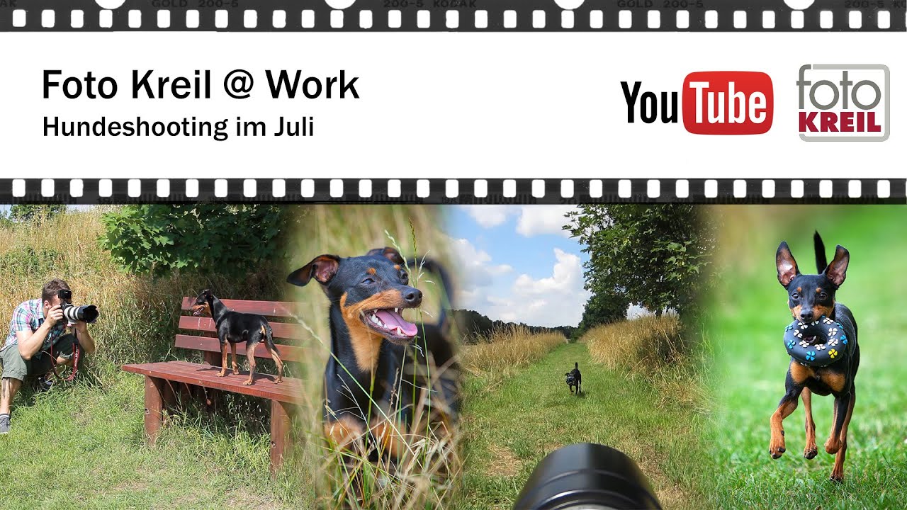 Hundeshooting im Juli