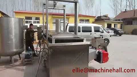 Pork Skin Frying Machine|Pork Rinds Fryer Working Video