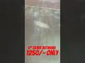 silver Arowana available at best price one bestdeal GrabSoon#silverarowana #arowana #arowanalovers