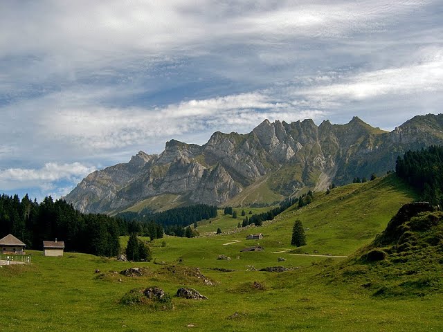 WILLI VALOTTI - STÄGELICHEIBE