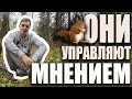 Критическое мышление | Они формируют твоё мнение