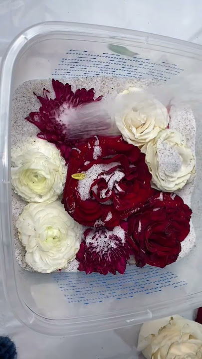 HOW TO DRY YOUR OWN FLOWERS FOR RESIN PROJECTS 