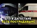 Автобус Махачкала – Москва врезался в корову в Дагестане | ДТП с каретой скорой