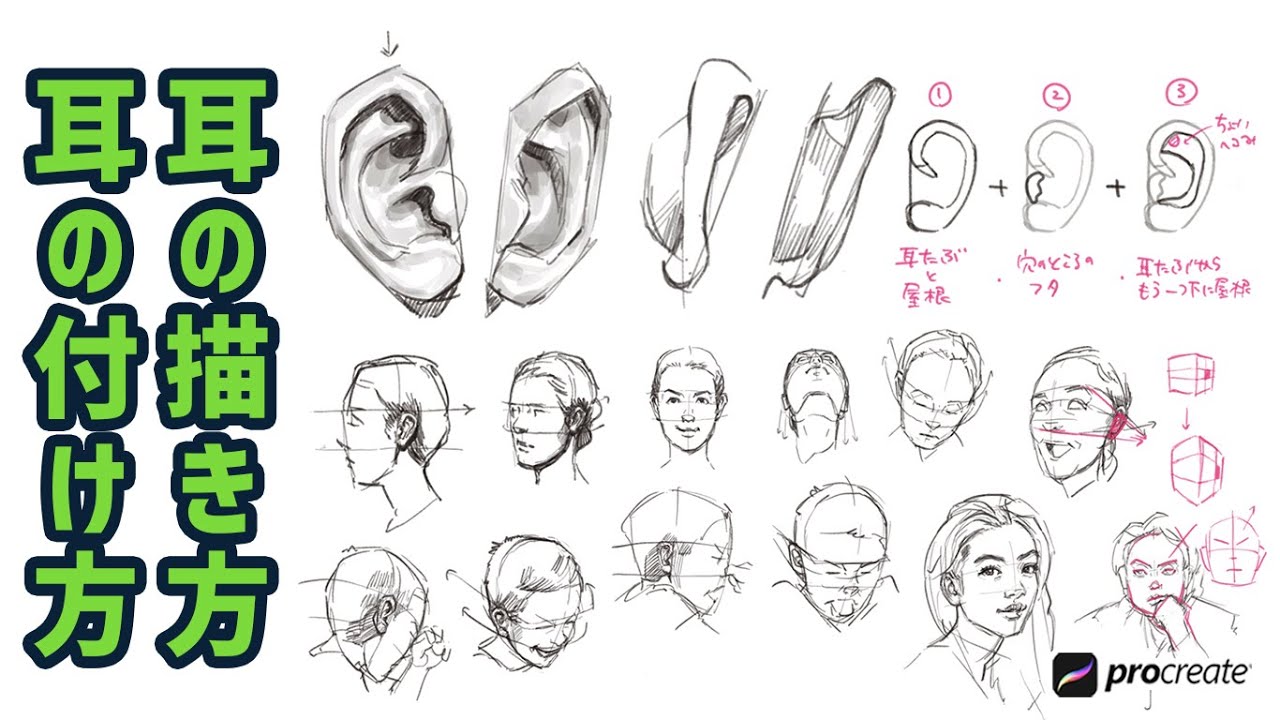 人物画 耳の描き方 耳の書き方 イラスト上達 絵が上手くなる 絵の描き方 Youtube