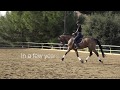 How to develop the "second" trot