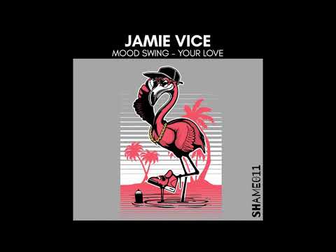 Jamie Vice - Mood Swing