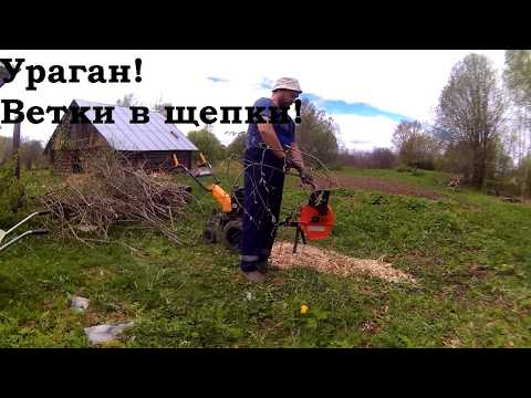 Ураган. Ветки в щепки.