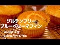 グルテンフリーブルーベリーマフィンGluten Free Blueberry Muffin