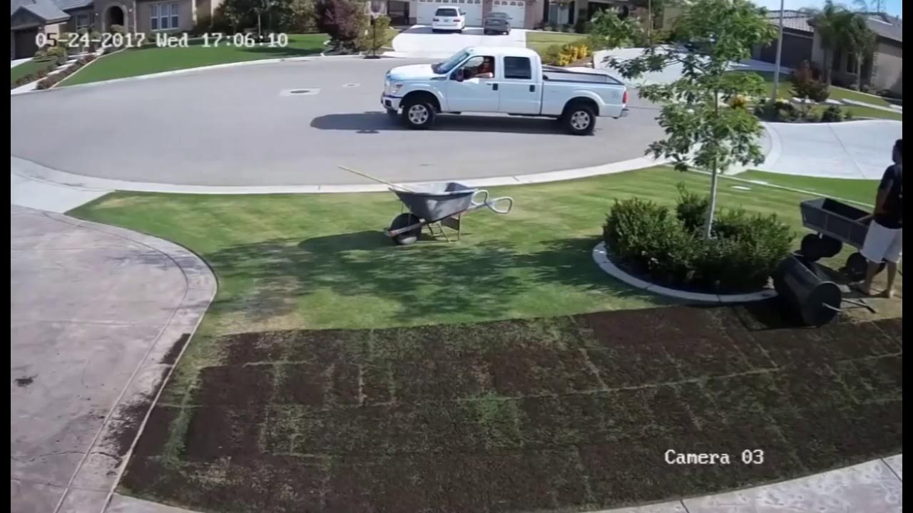 Organic Composted Manure on Lawn Time Lapse Central California