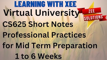CS625 Professional Practices Short Notes for Mid Term Preparation 1 to 6 Weeks Virtual University