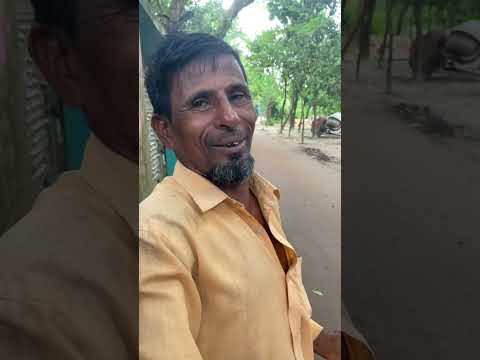 মাশাআল্লাহ