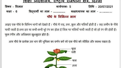 Scienceworksheet 5 class6(20/7/2021)/class 6 Science worksheet 5