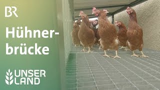 Hühnerbrücke | Unser Land | BR Fernsehen