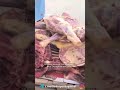 В Ташкент пытались ввезти 250 кг просроченного мяса