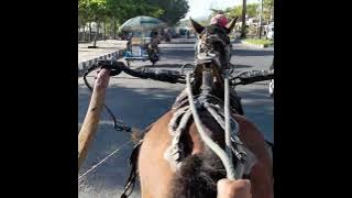 Jalan_jalan sore di atas BENDI