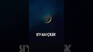 Gökşin Derin - Bu akşamda aklımdasın (Lyrics) Resimi