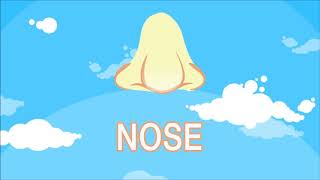 كلمات عربي انجليزي - اسماء اعضاء جسم الانسان بانجليزي | أنف - Nose