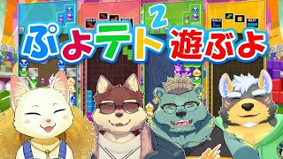 【ぷよテト2/コラボ配信】いつメンと仲良くぷよぷよテトリス【Vtuber/猫草ミント/碧熊ガロマ/八波はるかげ/雨蔵せいた】