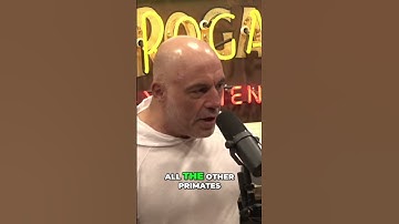 The Profound Impact of Psychedelics on Human Evolution