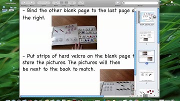 Product Preview - What? How Many? What Color? Adapted Book