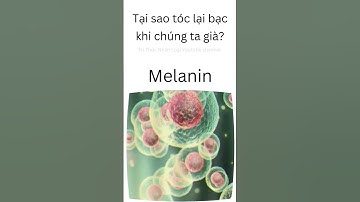 Vì Sao Tóc Bạc Khi Già? Giải Thích Khoa Học Dễ Hiểu | Tri thức nhân loại