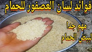 فوائد لسان العصفور لتربيه الحمام