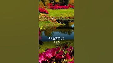 القران الكريم سورة المؤمنون