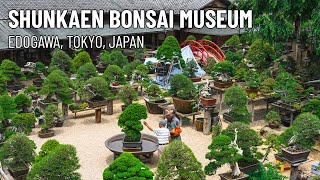 Shunkaen Bonsai Museum 春花園BONSAI美術館 | Tokyo, Japan | 4K Tour