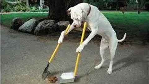 D-smooth ft. Yungmar - Dance with me