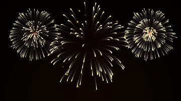 New Year Fireworks Stock Motion Graphics