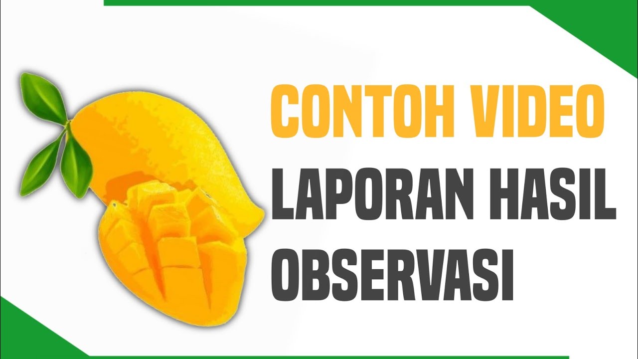 Contoh Video Hasil Laporan Observasi Buah Mangga | Materi SMA/SMK - YouTube