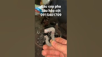 Sản xuất sâu cop pha xây dựng #maydotdap  #shorts