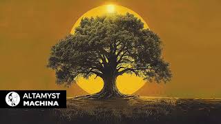 Altamyst  Machina original Mix  Steyoyoke