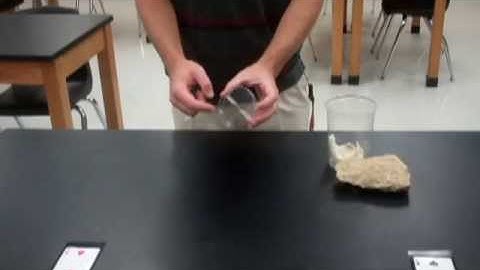 Pill Bug Choice Chambers