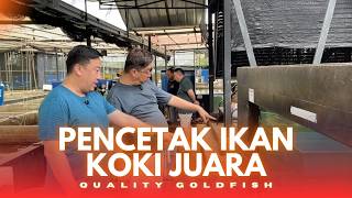 SPESIALIS PENCETAK KOKI JUARA, QUALITY GOLDFISH | ROAD TO NUSATIC NUSAPET NUSAHORTI 2026
