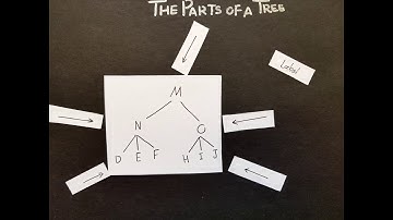 Syntax Chapter 4 The Parts Of a Tree