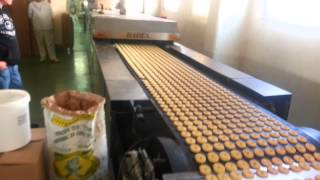 Dadex Tunnel Bakery Oven For Cakes And Cookies