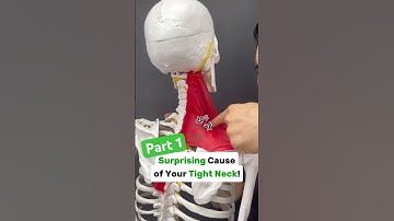 Part 1/2: Is your neck tight with shoulder blade or arm pain? Try this! #neckpain #shoulderpain #tmj
