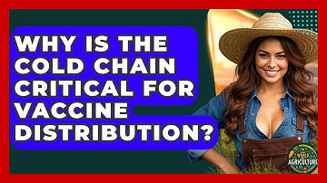 Why Is The Cold Chain Critical For Vaccine Distribution? - The World of Agriculture